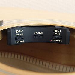 Belcat Iris-1 Sound Hole Preamp, Zubehör Instrumente