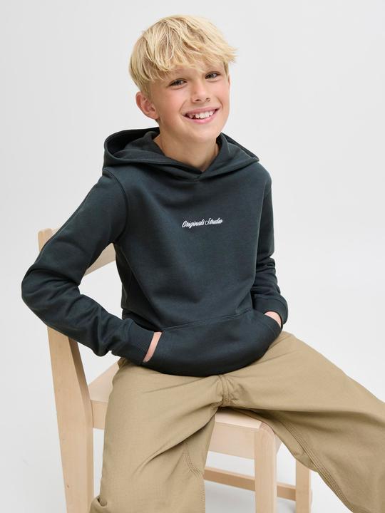 Immagine prodotto Jack & Jones Jornorrebro Emb Sweat Hood Noos Jnr (164)