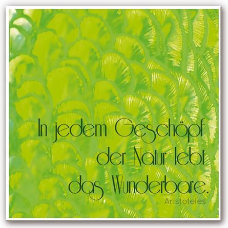 Actual product image Trenddeko In every creature of nature (2-part) (50 x 50 cm, 120 x 50 cm)