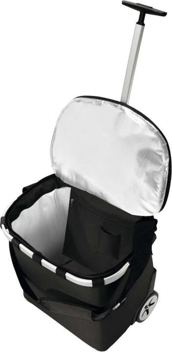 Actual product image reisenthel Carrycruiser Iso (40 l)