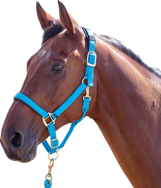 Immagine prodotto Shires UTER239 P