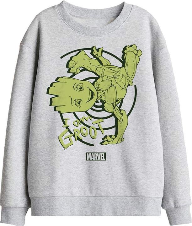 Produktbild I Am Groot Sweatshirt (116)