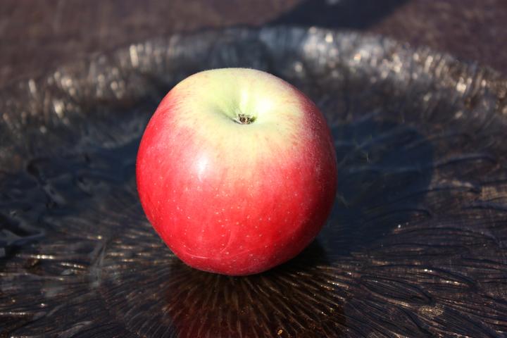 Actual product image Lubera Apple Paradis Julka