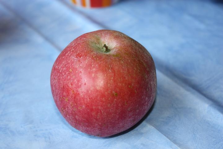 Actual product image Lubera Apple Paradis Julka