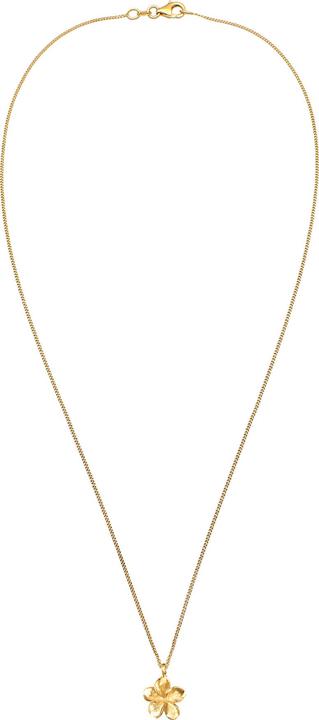 Immagine prodotto Elli Fiore di Frangipani (Argento 925, 45 - 55 cm)