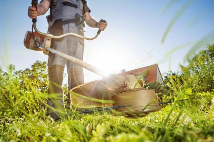 Produktbild Cellfast Standard (Rasenmäher, Gartenmaschinen Ersatzteile)