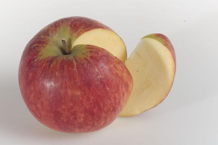 Produktbild Lubera Apfel Paradis® Sierra®