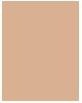 Produktbild Bourjois Healthy Mix Clean & Vegan Radiant Foundation (50,5N Light Ivory)