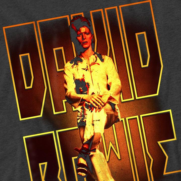 Produktbild David Bowie Perched TShirt (XL)