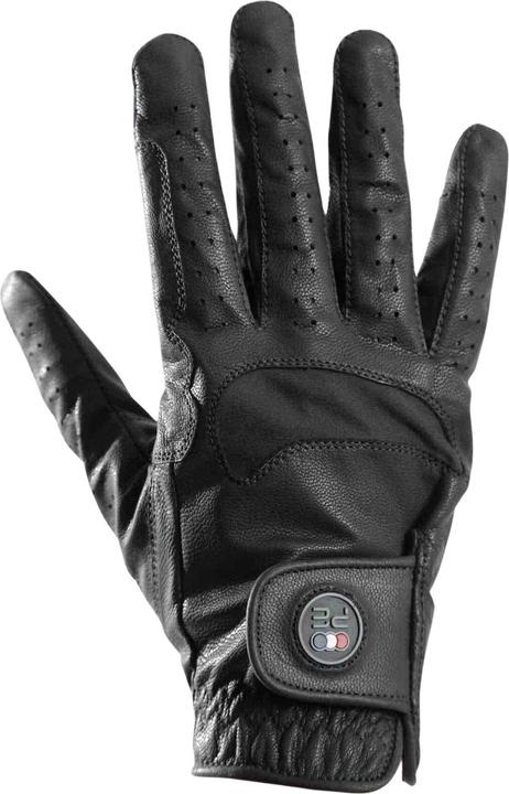 Premier Equine Mizar