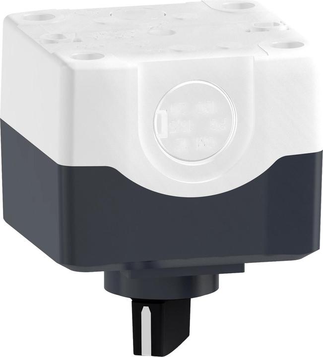 Immagine prodotto Schneider Electric Selettore