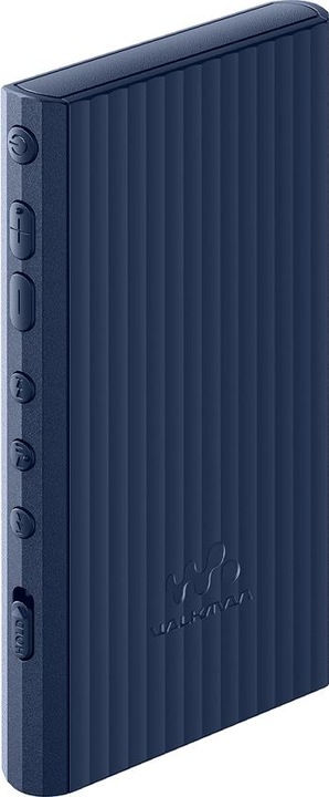 Image du produit Sony NW-A306 (18 Go)