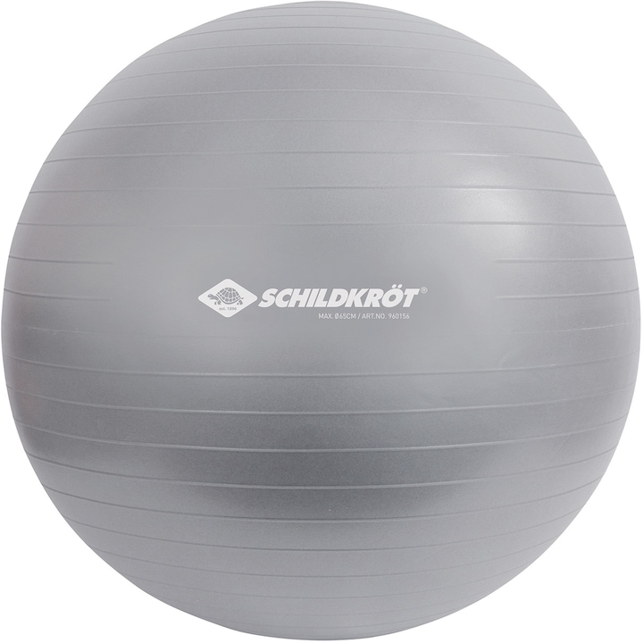 Actual product image Schildkröt Exercise ball (55 cm)