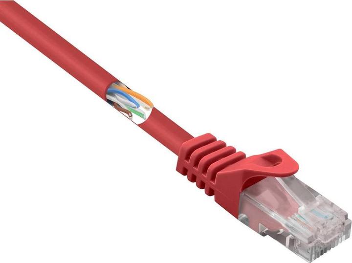 Actual product image Renkforce RF-5043840 RJ45 Network Cable, Patch Cable CAT 5e U/UTP 1.00 m Red with (U/UTP, CAT5e, 1 m)