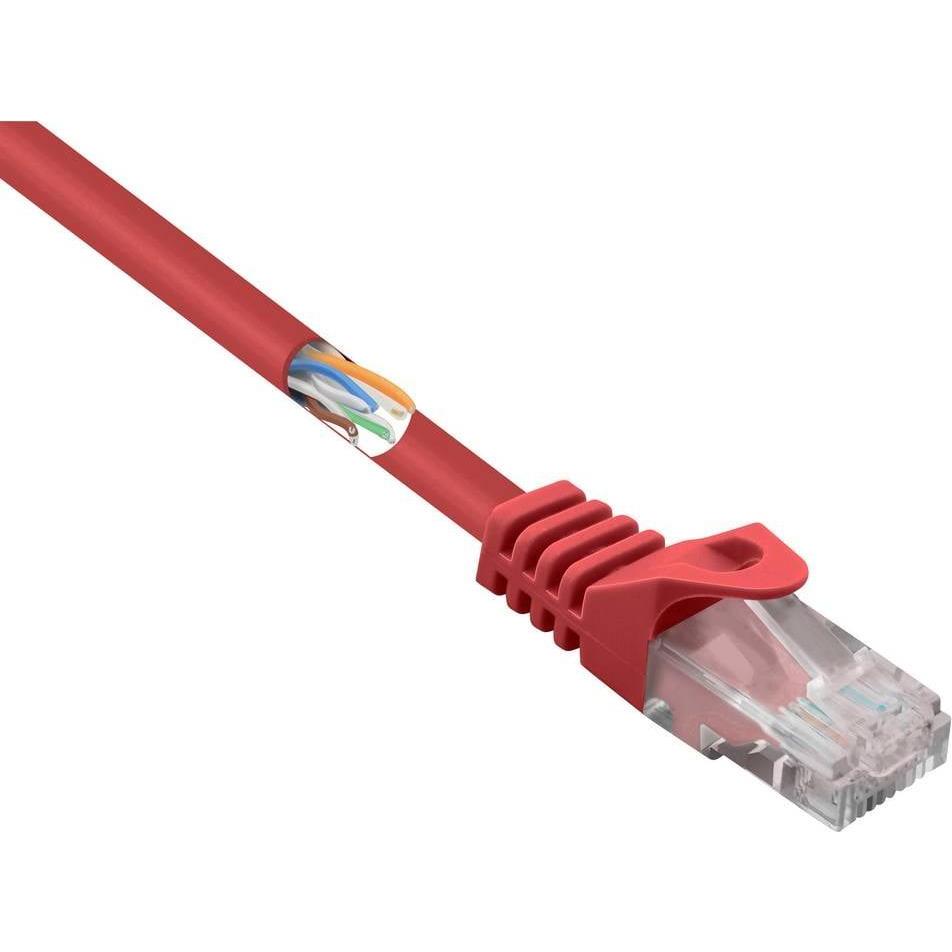 Renkforce RF-5043840 RJ45 Netzwerkkabel, Patchkabel CAT 5e U/UTP 1.00 m Rot mit (U/UTP, CAT5e, 1 m), Netzwerkkabel
