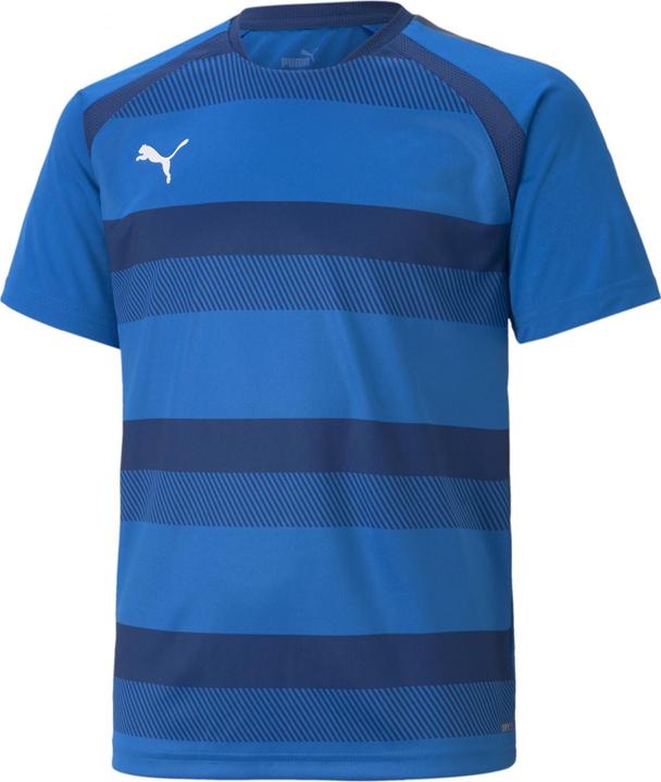 Actual product image Puma teamVISION Jersey Jr-704928 (116)