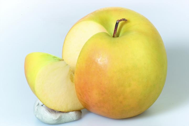Actual product image Lubera Apple Bella Bionda Patrizia