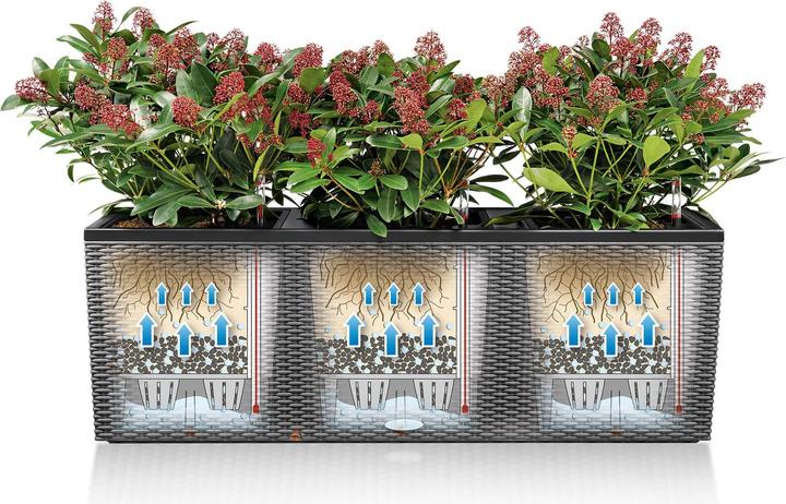 Produktbild Lechuza Trio Cottage (129.50 x 42 x 44 cm)