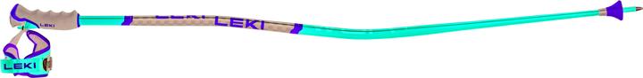 Image du produit Leki Bâtons de ski WCR GS 3D
