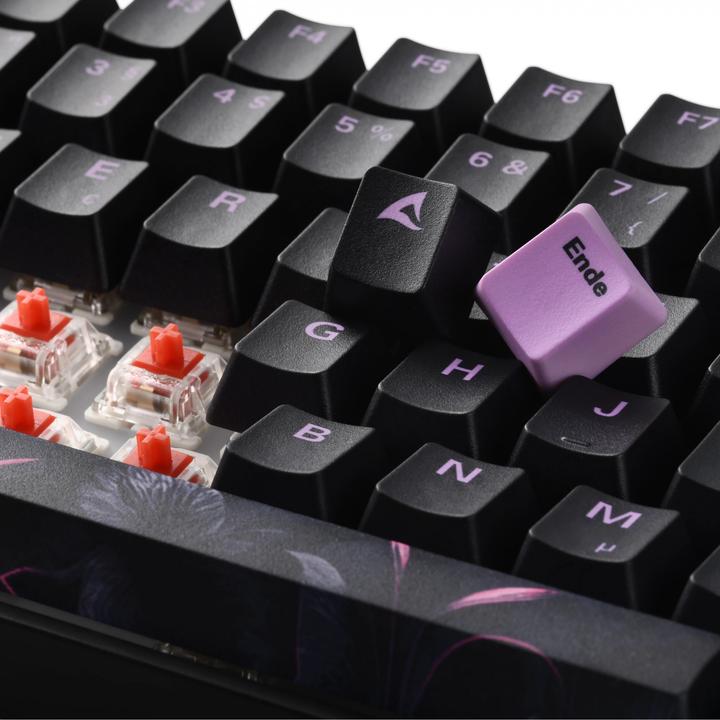 Produktbild Sharkoon SKILLER SGK50 S3 Design Bundle D2 (DE)