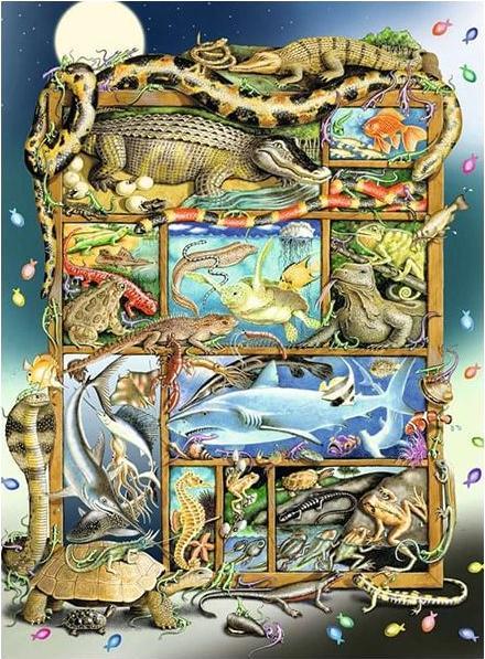 Actual product image Ravensburger Children's jigsaw puzzle - 12000866 Reptiles on the shelf - 200 piece XXL jigsaw puzzle for (200 pieces)