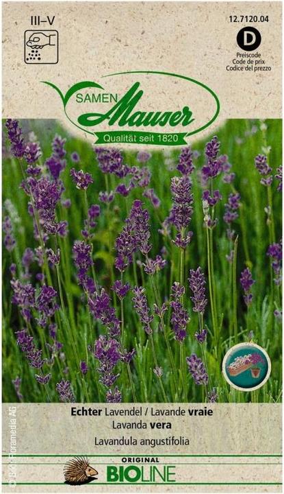 Produktbild Samen Mauser BIO Echter Lavendel (Kräutersamen)