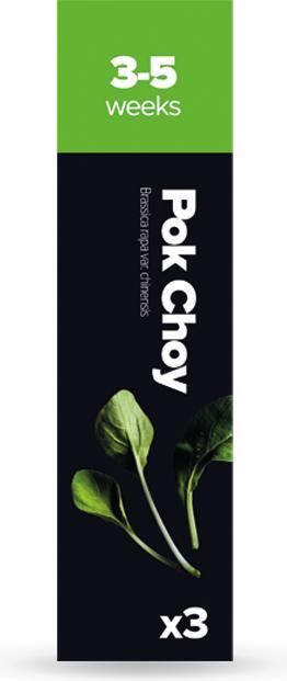 Plantui Pok Choy (Semi di verdura)