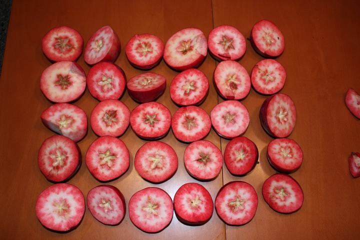 Produktbild Lubera Redlove® Circe®