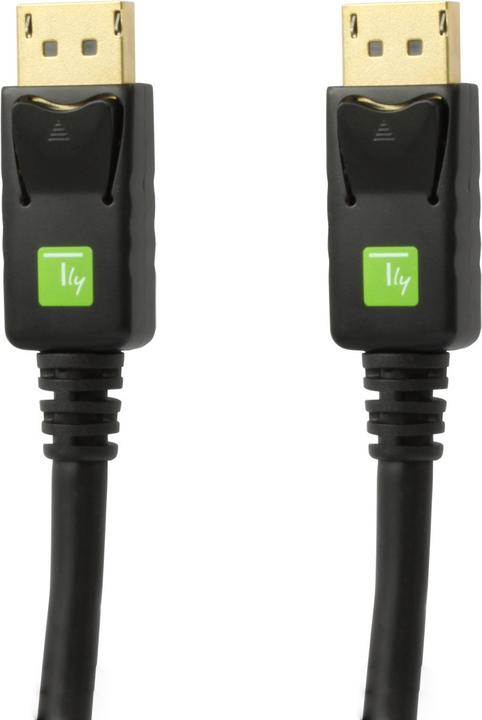 Actual product image Techly DisplayPort — DisplayPort (0.50 m)