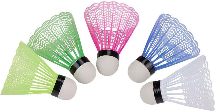 Champ Badminton balls