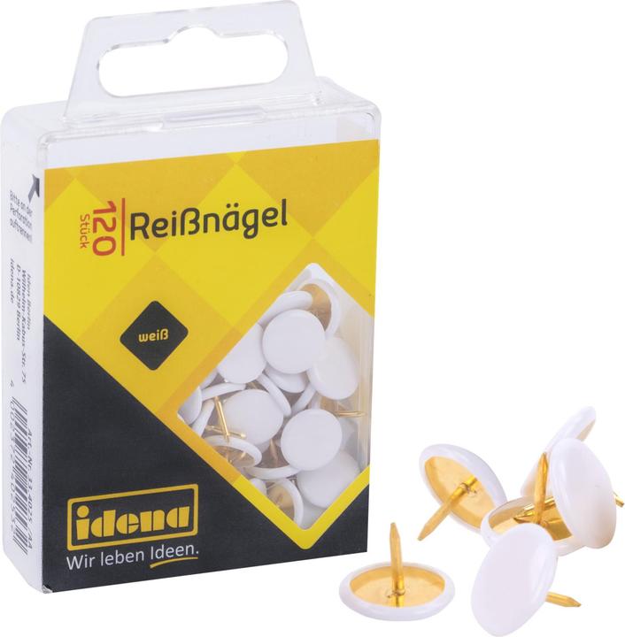Actual product image Idena Drawing pins white 120 pieces (120 pcs., 20 mm)