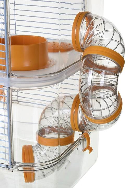 Actual product image Zolux Rody3 Trio