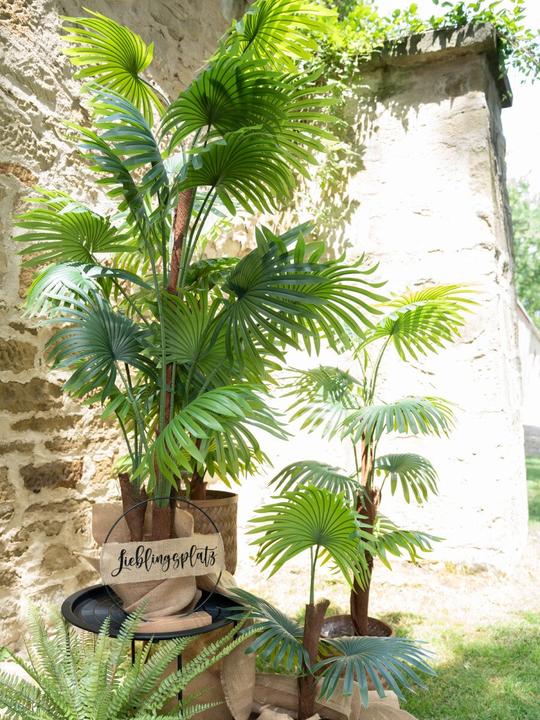 Produktbild Europalms Fächerpalme, Kunstpflanze, 165cm