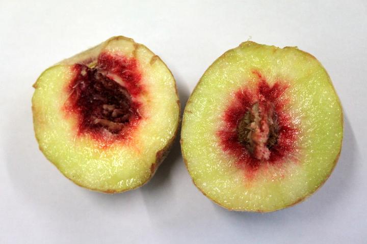 Actual product image Lubera Fruttoni Crimson