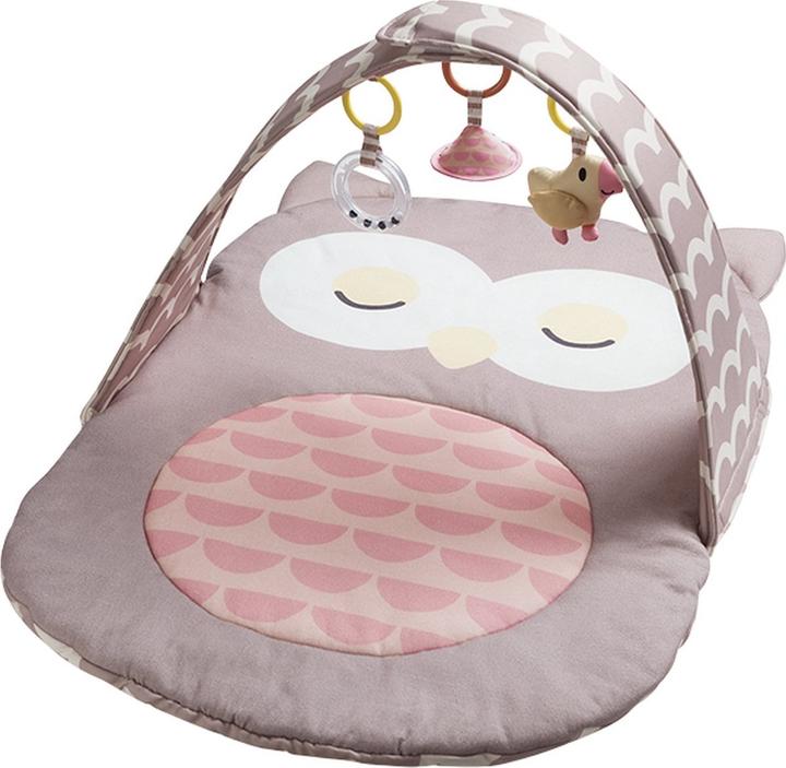 Actual product image Hape babygym Uil Oscar