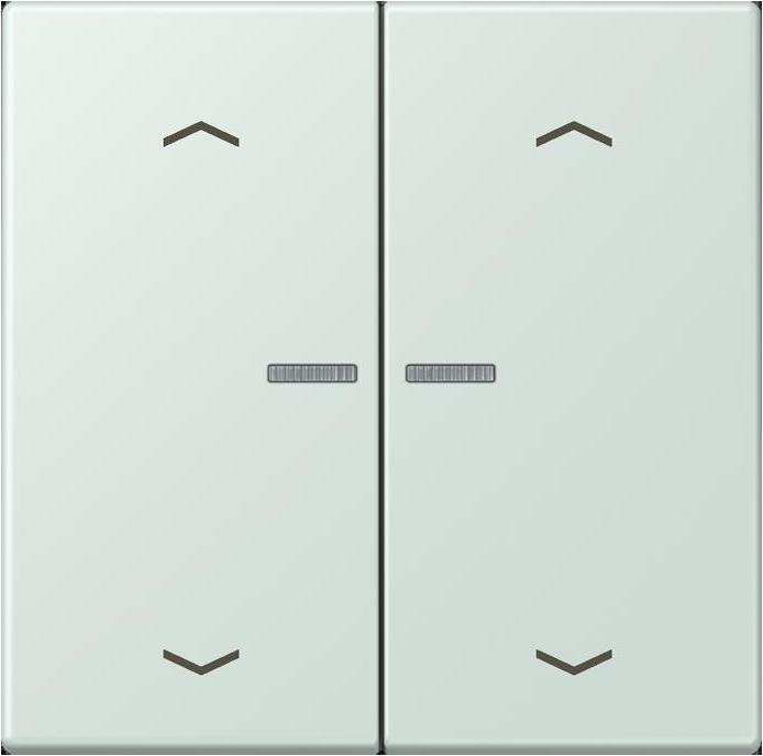 Actual product image JUNG BTLC17102P215 HOME push button