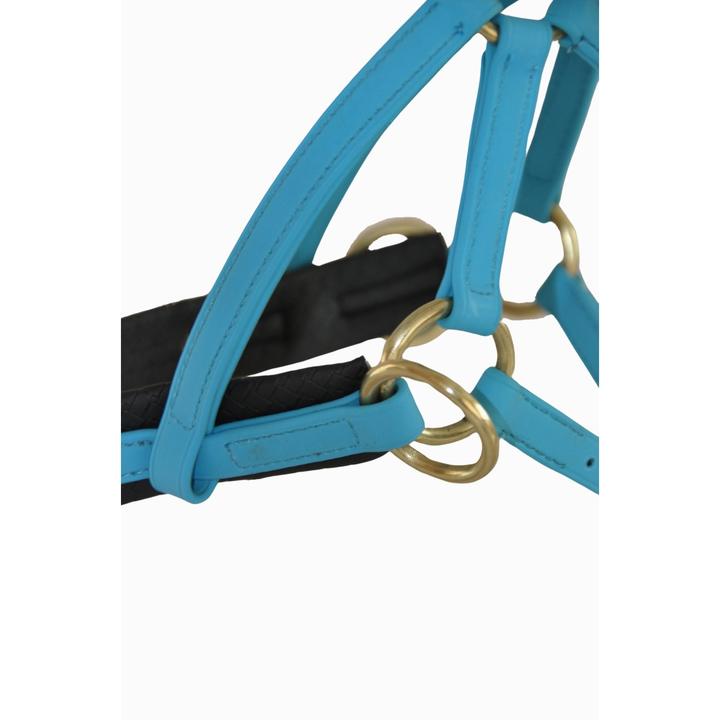 Produktbild TdeT Sidepull Biotack®