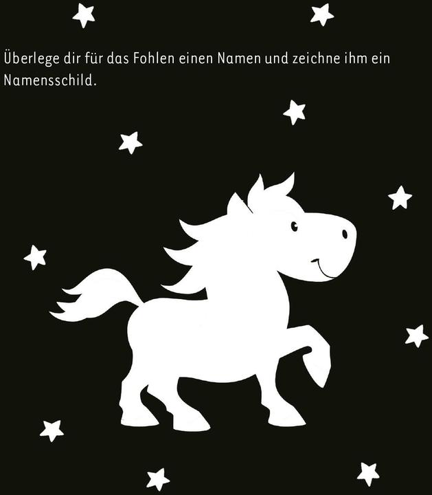 Produktbild Kritzkratz-Spass Pferde