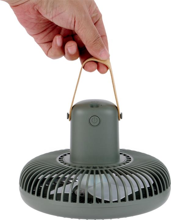 Produktbild Gingko Beyond