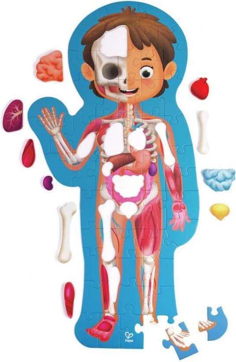 Produktbild Hape Mein Körper (60 Teile)