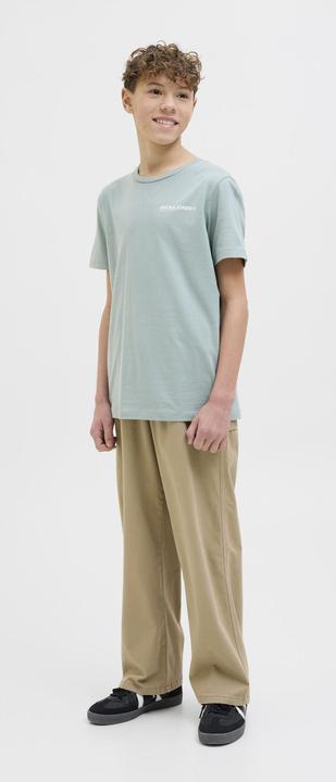 Actual product image Jack & Jones Jpstalex Co Jjcarpenter Pants Noos Jnr (158)