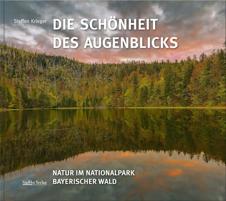 Produktbild Die Schönheit des Augenblicks (Deutsch, Steffen Krieger, 2018)
