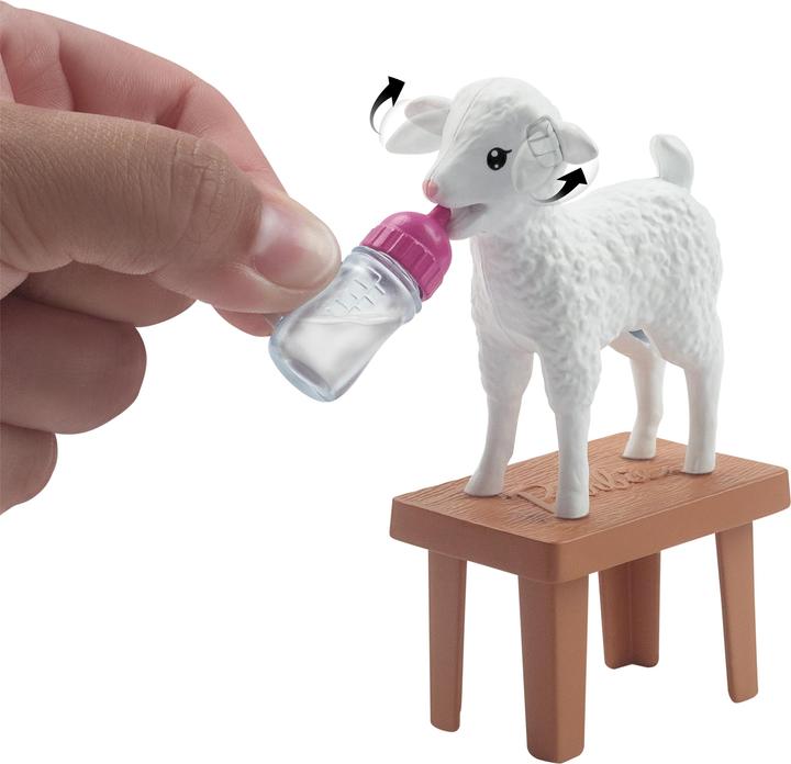 Productafbeelding Barbie Dierenarts