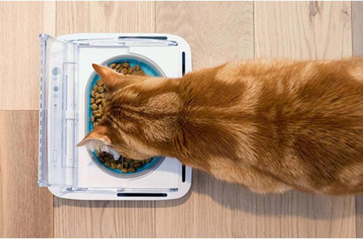 Actual product image SureFeed Food dispenser (0.40 l)