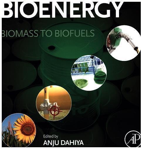 Produktbild Bioenergy (Englisch, Anju Dahiya, Anya Dahiya, 2014)