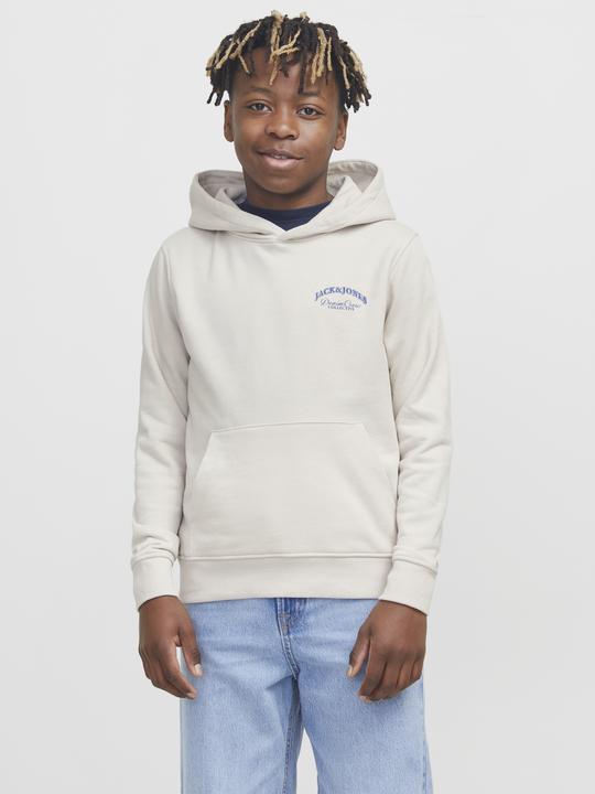 Image du produit Jack & Jones Jjebrandes Backp Relaxed Sweat H Sn Jnr (176)