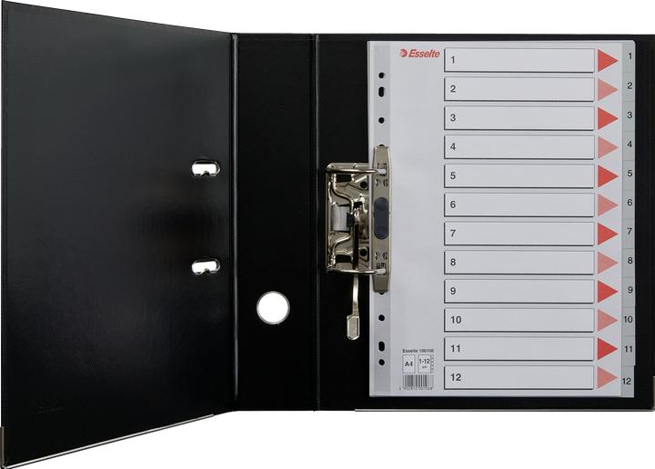 Image du produit Esselte Registre en plastique