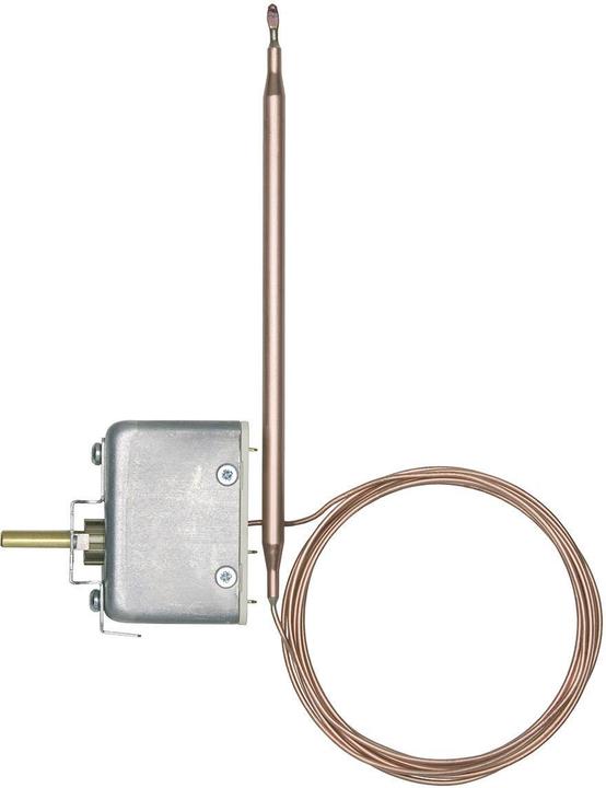 Actual product image Jumo Built-in thermostat EM 1 Temperature controller (TR), pole