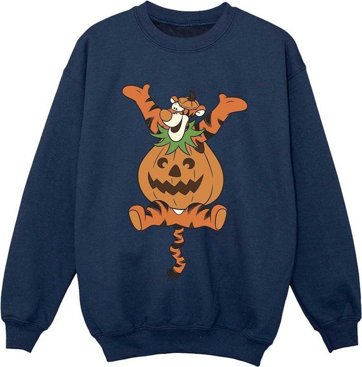 Produktbild Winnie the Pooh Sweatshirt Jungen (104)