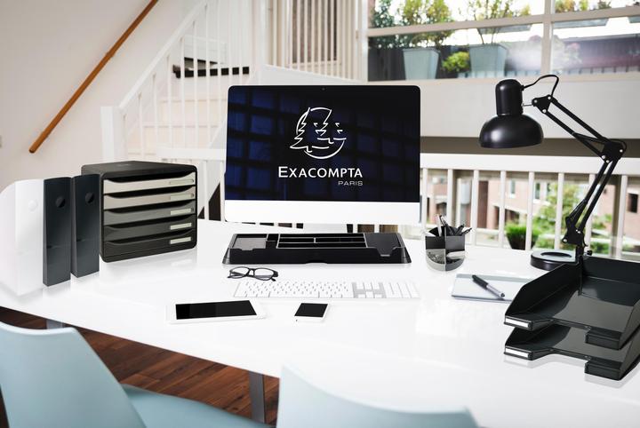 Actual product image Exacompta Magazine file (A4+)